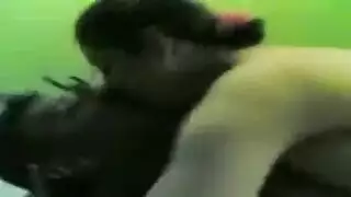 شي قريب ينيك مراء