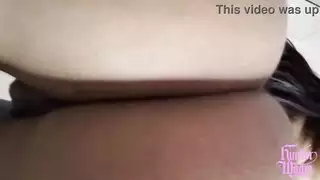 العرض الحسي للهواة الرطب والبري